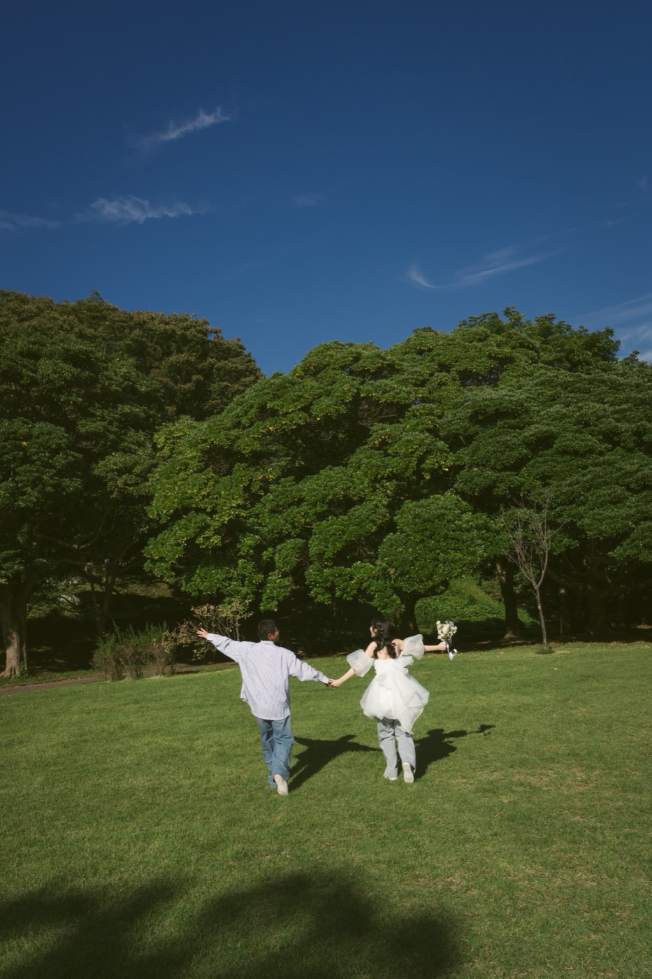 森・公園