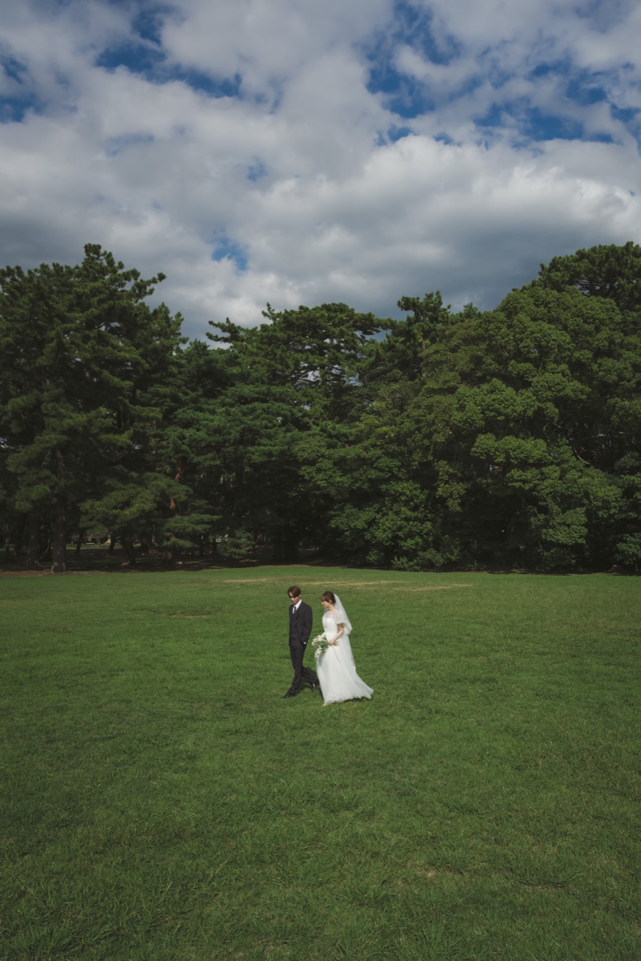 森・公園