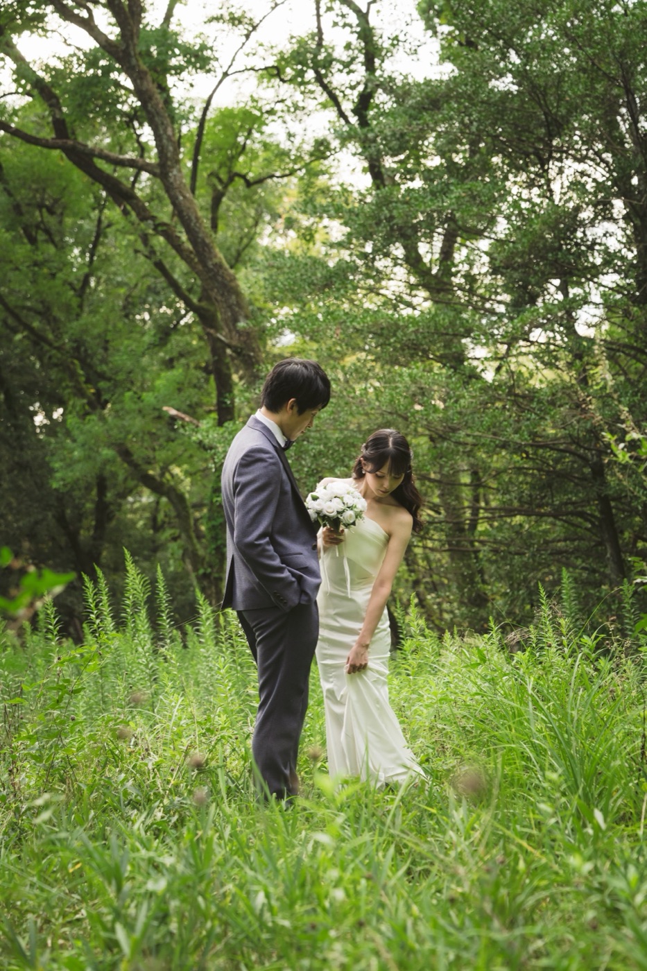 森・公園